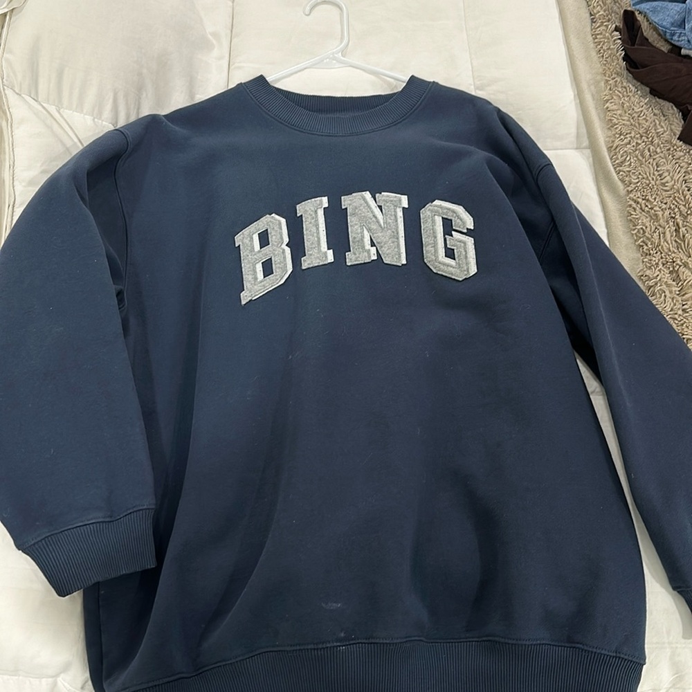 Anine bing sweatshirt